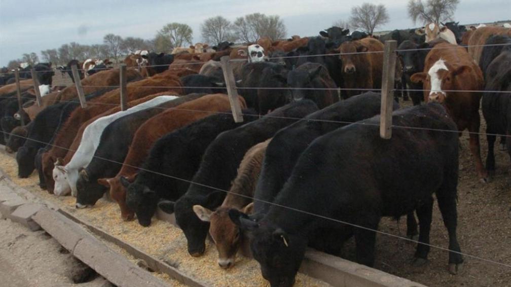 Requiem para la carne gaucha