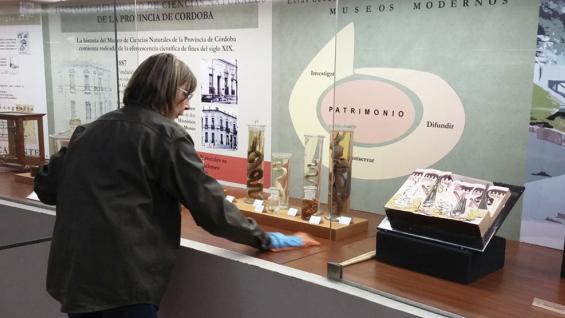 A DIARIO. El cuidado de las piezas en el Museo Provincial de Ciencias Naturales es una tarea cotidiana (Foto Agencia Córdoba Cultura). 