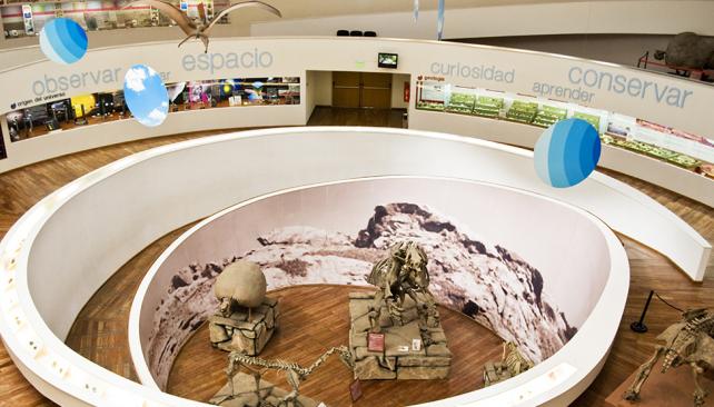 EJEMPLO. Las colecciones del Museo de Ciencias Naturales se mantienen gracias a los procesos de conservación. (Foto Agencia Córdoba Cultura)